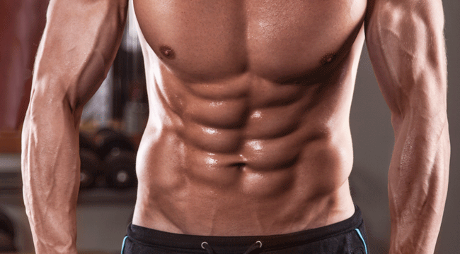 Toning Muscle Workout - Perfecting your Abs - Bodydulding