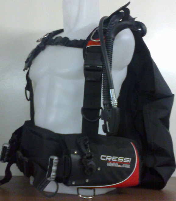 Diving backpack