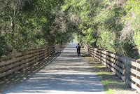 Northwest of Keystone Heights on the Palatka-Lake Butler State Trail, 13 February 2011.