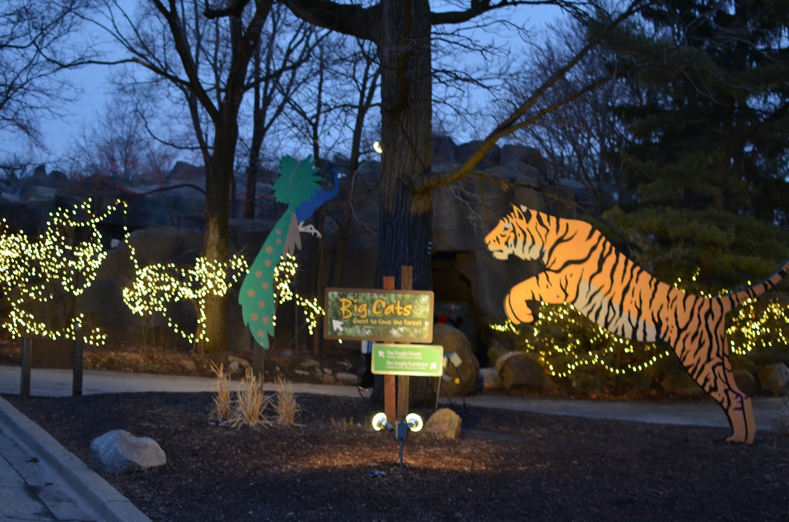 The Phipps Update Christmas lights at Brookfield Zoo