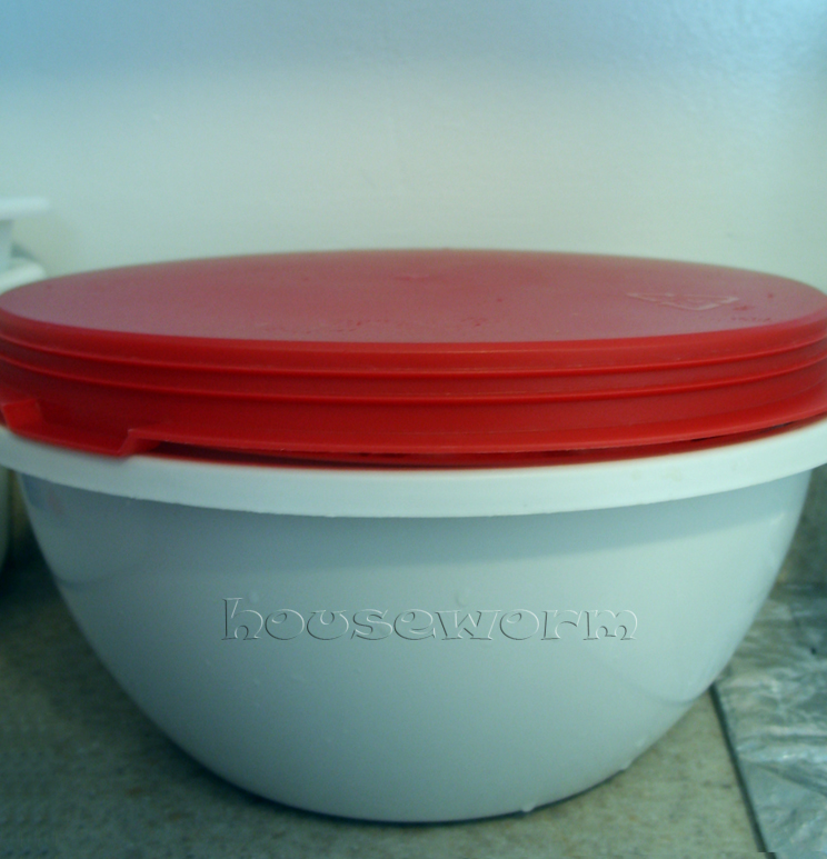 ♥Worm Home Sweet Home♥ Homemade Bean Sprout