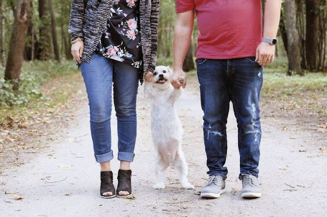 Questionado sobre filhos, casal dá resposta fofa em ensaio com cachorro