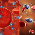 Scientists Created The First Nanorobots Programmed To Destroy Cancer Tumors