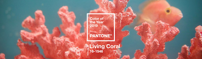 Living Coral Pantone 2019 decoración de interiores, interiorismo, tendencias.