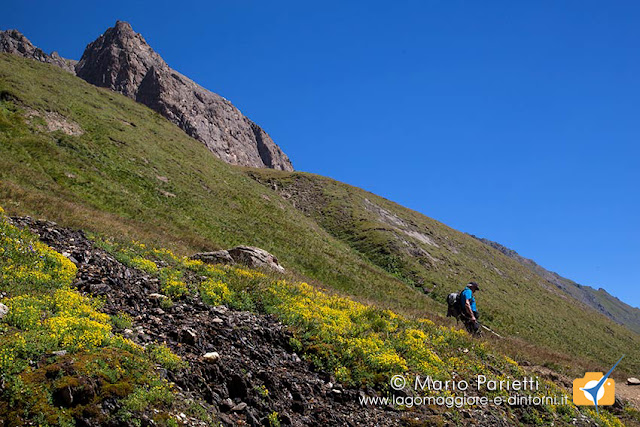 Scendendo dal passo di Gries Scendendo dal passo di Gries