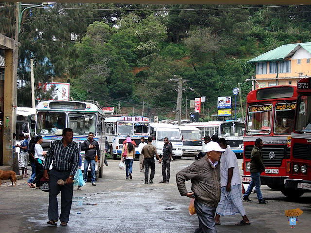 Nuwara Eliya - Sri Lanka