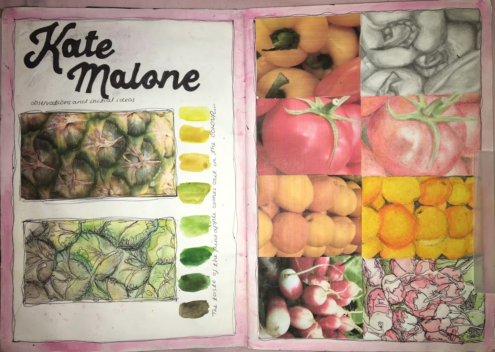 Keating Young My GCSE Art Coursework ǀ Natural Forms