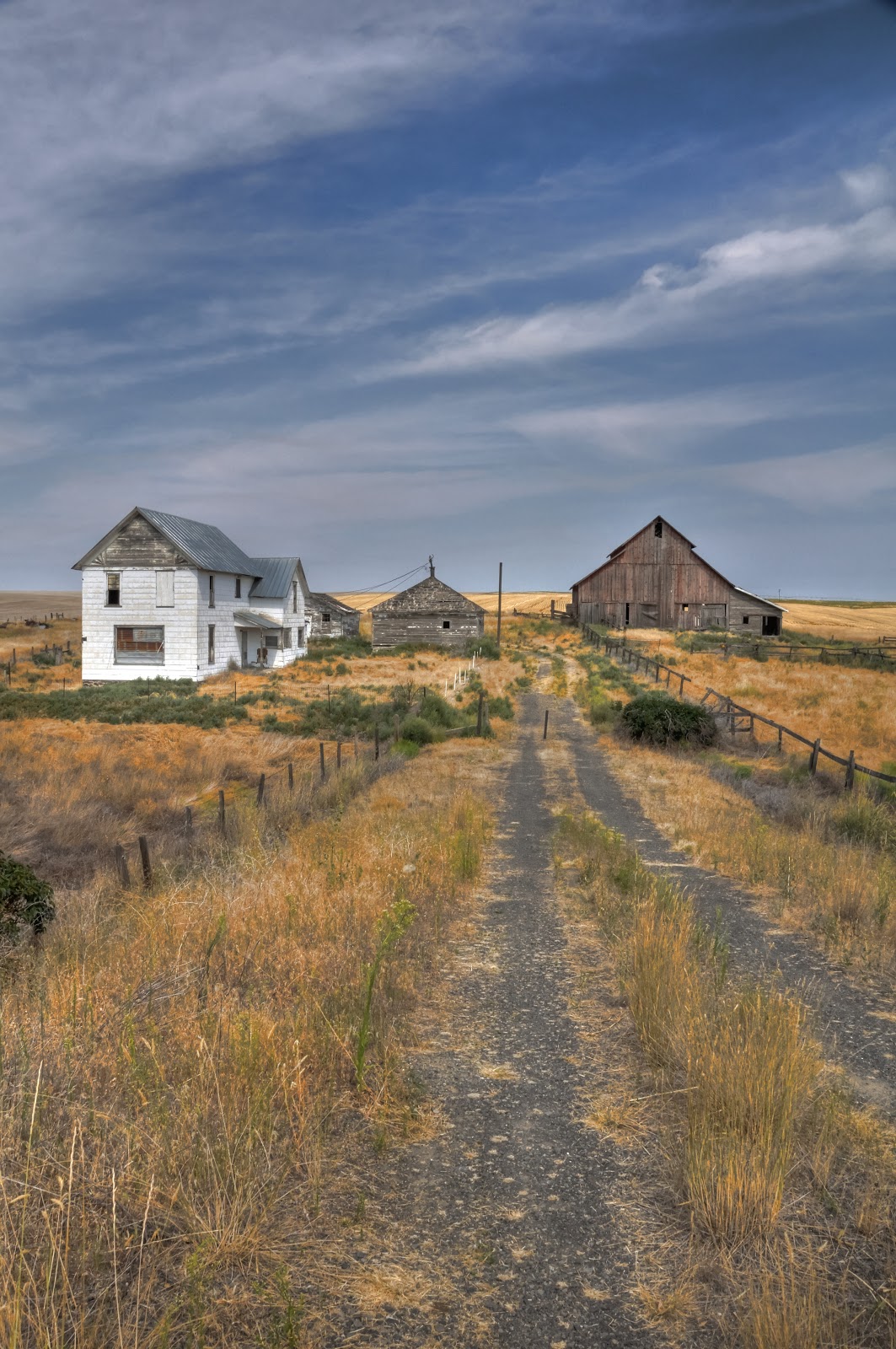 This Life in Ruins homestead gone wild, Near Almira, Wa