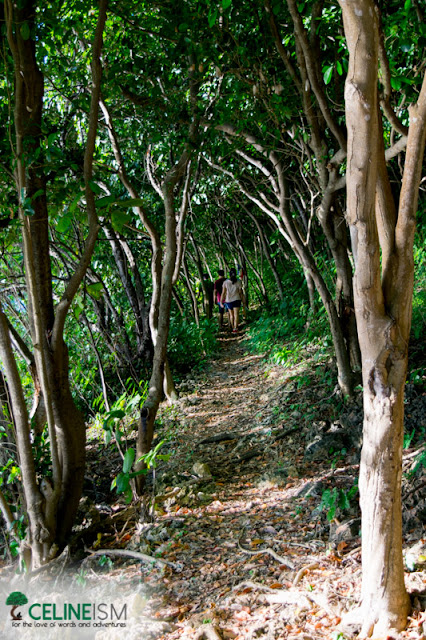 sumilon island trail sumilon island trekking