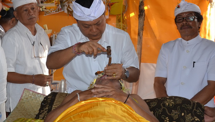 113 Warga Denpasar Ikuti Tradisi Metatah Massal
