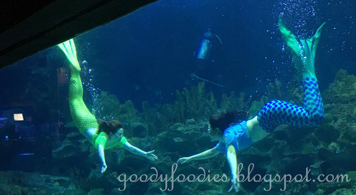GoodyFoodies Mermaids Aquaria KLCC, Malaysia
