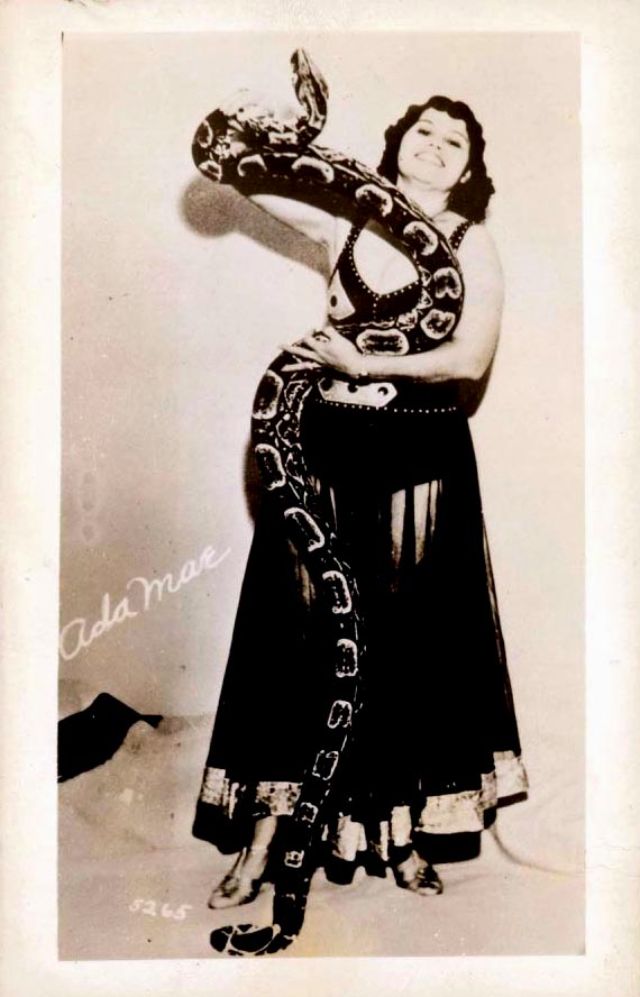 33 Amazing Vintage Photos of Female Circus Snake Charmers From the Early 20th Century Vintage