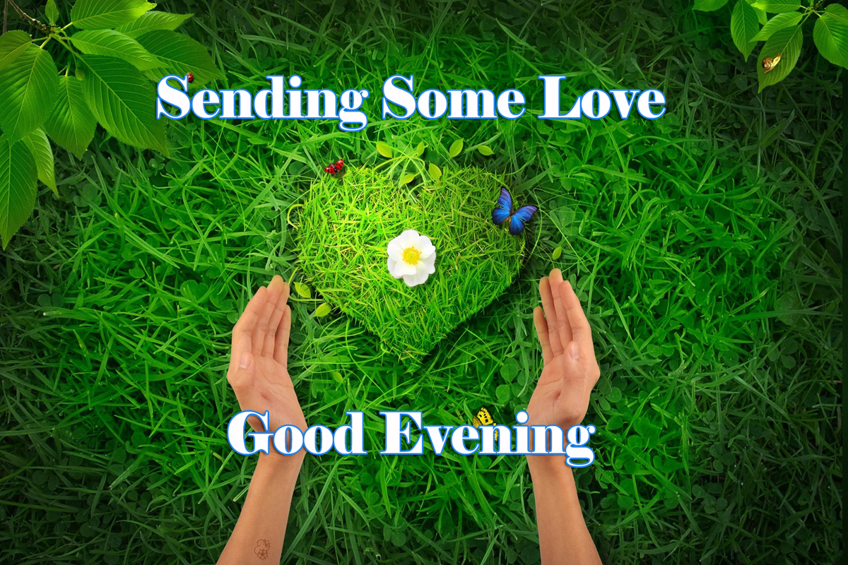 متى يقال good evening 