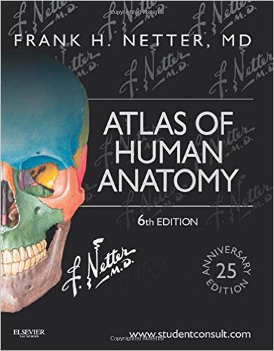 Atlas Of Human Anatomy 6th Edition Pdf