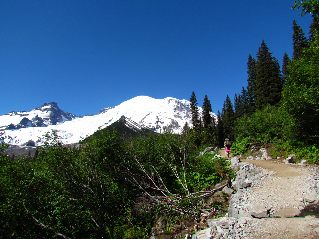 Visit Rainier Fees Waived on National Public Lands Day at Mt. Rainier