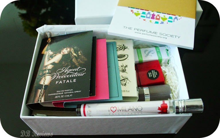 The Holiday Collection Discovery Box