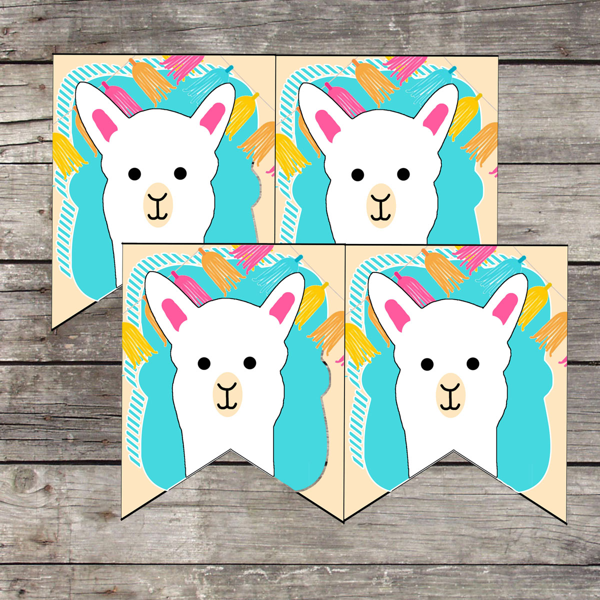 Llama Birthday Party Daisy Created