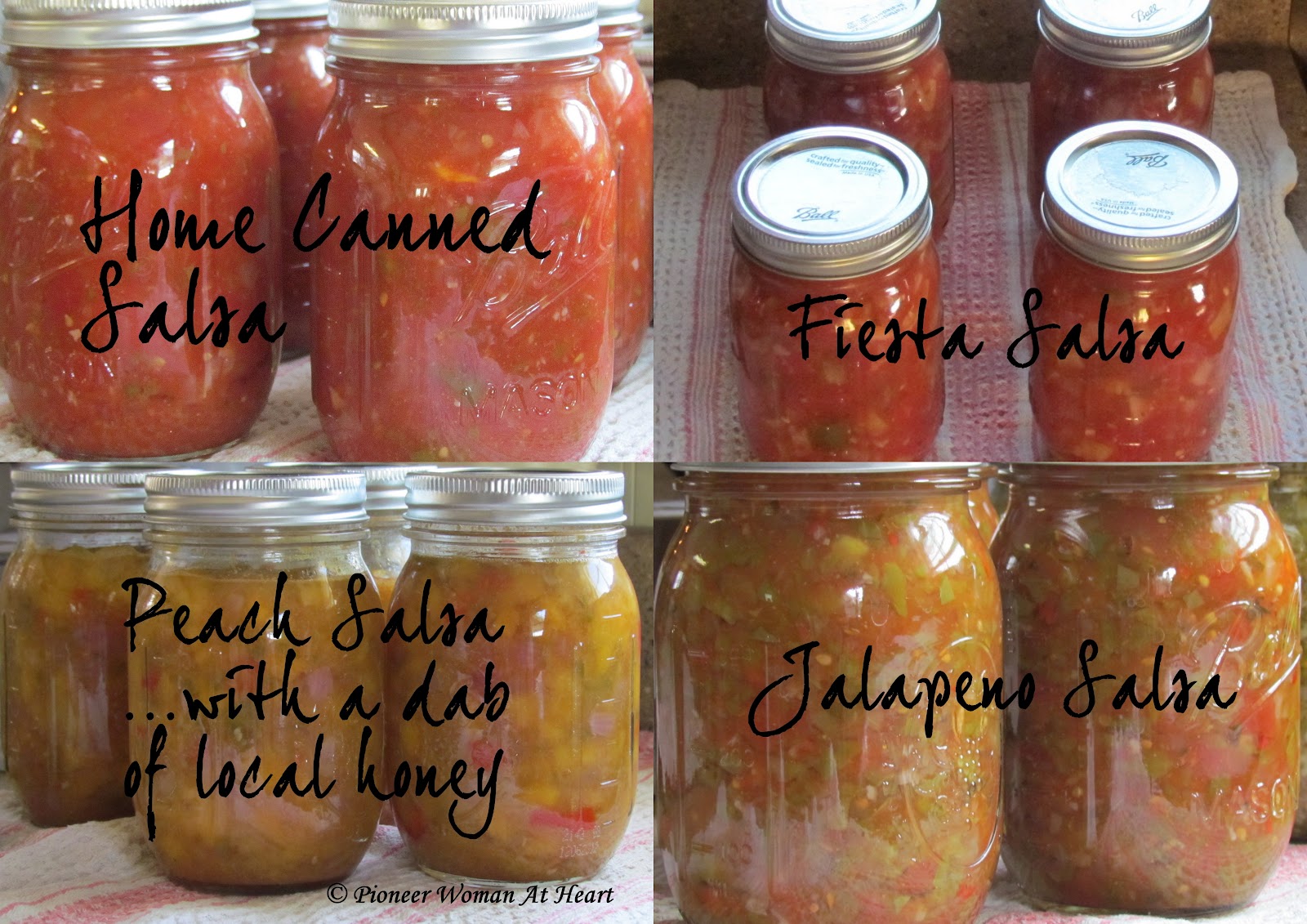 Salsa Recipe For Canning Pioneer Woman