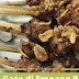 Tusuk Sate Kambing Pipih / Gepeng