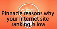 Pinnacle reasons why your internet site ranking is low: tobilobablog