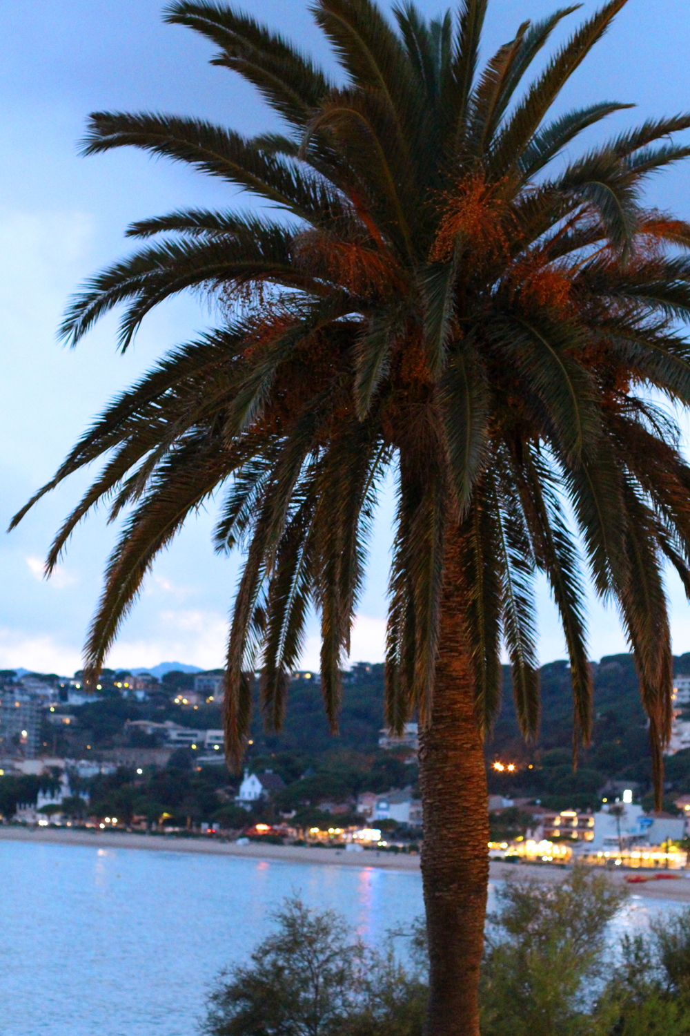 Costa Brava palm tree at dusk, Spain - luxury travel blog