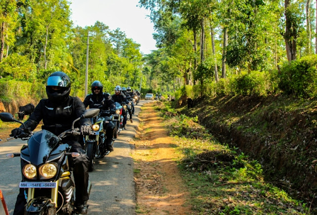 A ‘Jungle Trail’ Created By The MOJO Tribe In Southern India