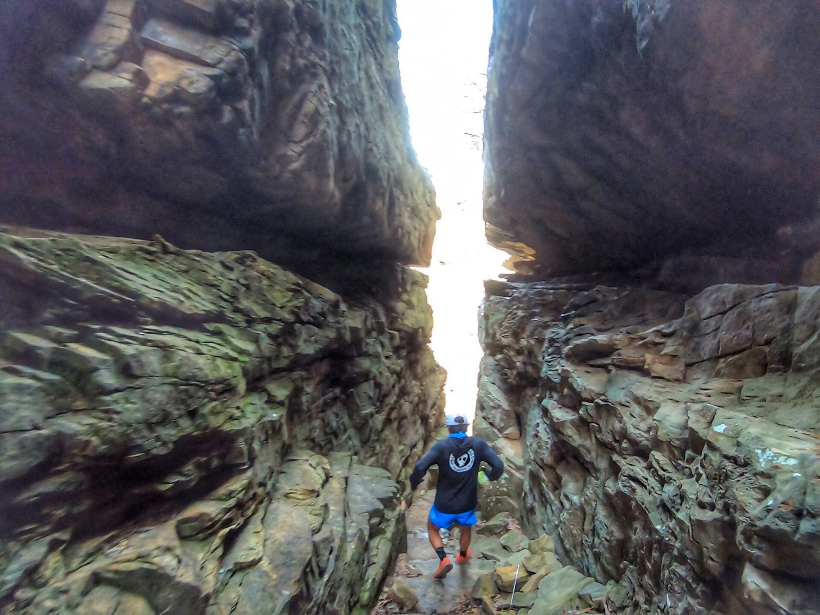 Race Report 2019 Savage Gulf Trail Marathon Ultra Kraut Running