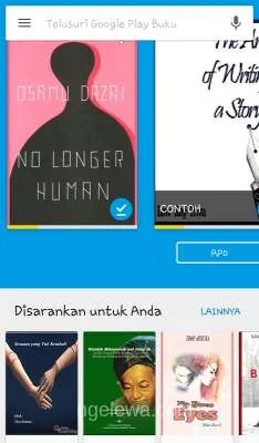 Tampilan Google Play Book