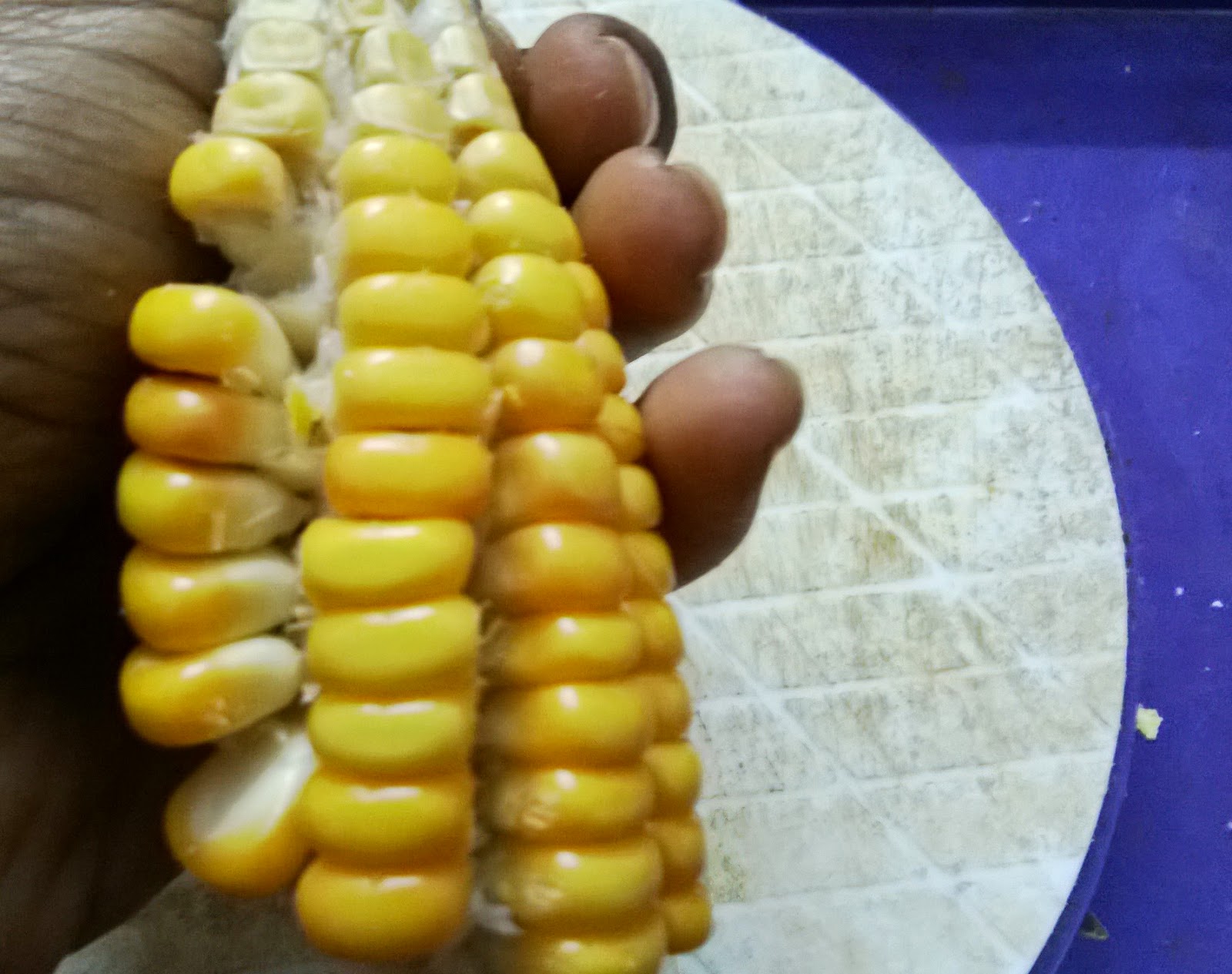 BananaLeaf Recipes How to remove Corn easily from the Cob