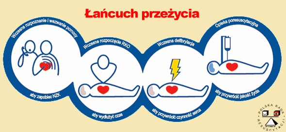 Praca Klasowa Z Edb Pierwsza Pomoc EdB Pierwsza Pomoc: ŁAŃCUCH PRZEŻYCIA