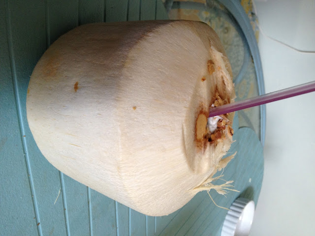 young coconut with straw