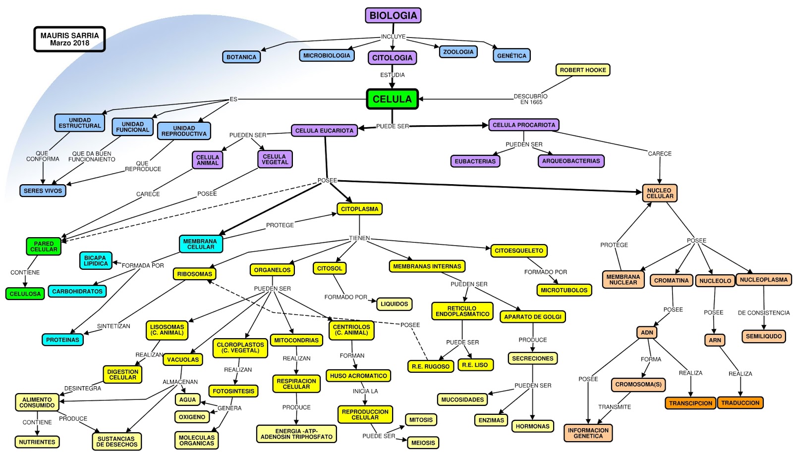 Mapa conceptual biologia 7 año