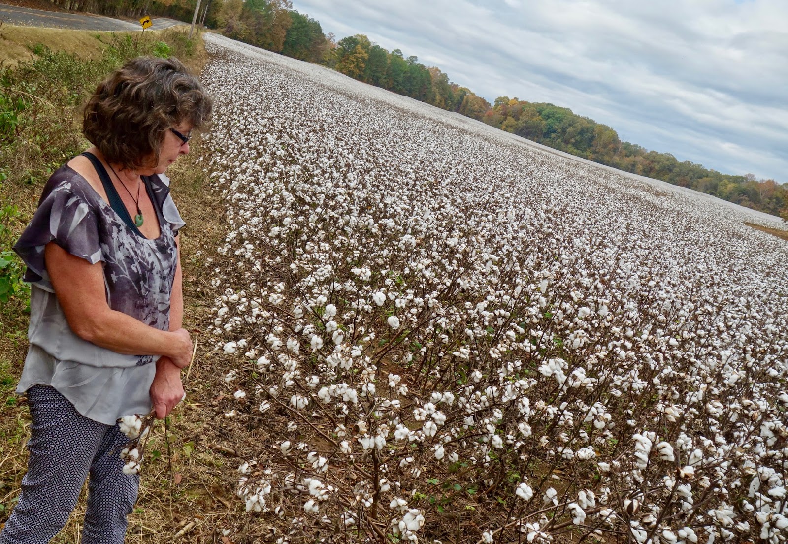 going over niagara pauls cotton pickin mimute alabama usa mimute