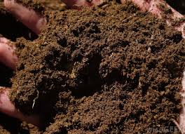 PRACTICAL GUIDE TO DAILY CARE, VACINATION AND MEDICATION OF POULTRY BIRDS