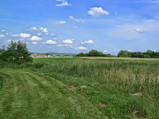 Blick in mittelfränkische Landschaft Blick in mittelfränkische Landschaft (C) by Joachim Wenk