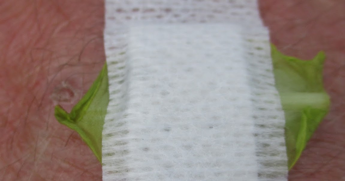 Outdoors Ireland Butterwort