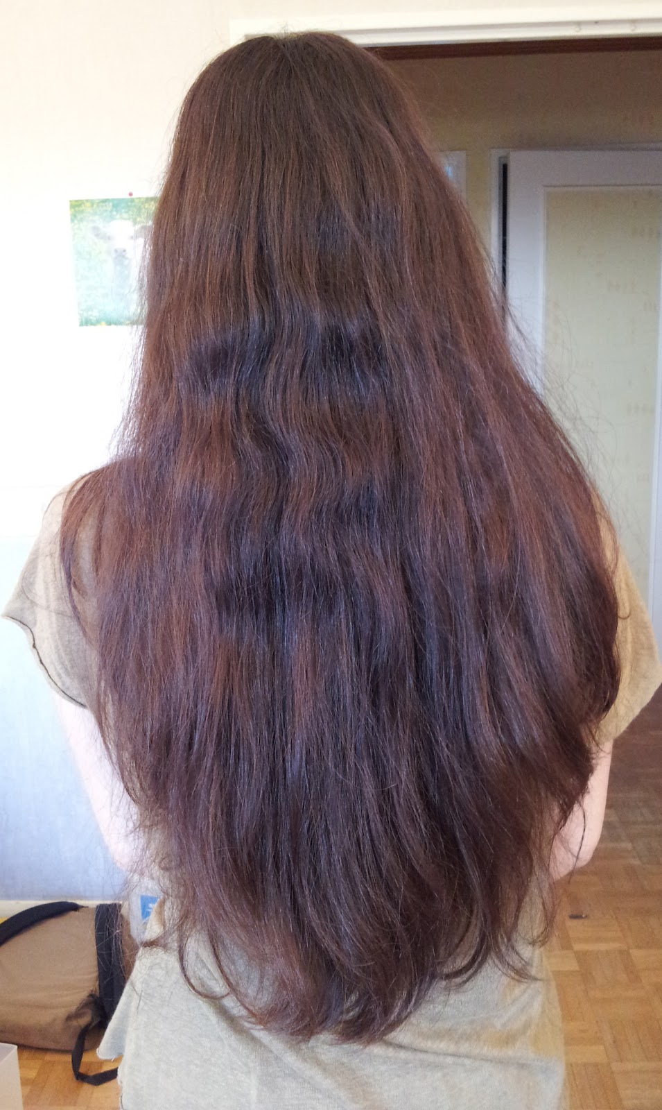 coupe de cheveux femme long 2015