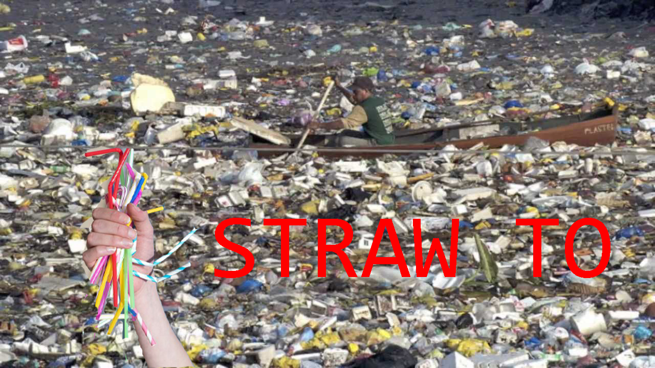STRAW%2BTO.jpg