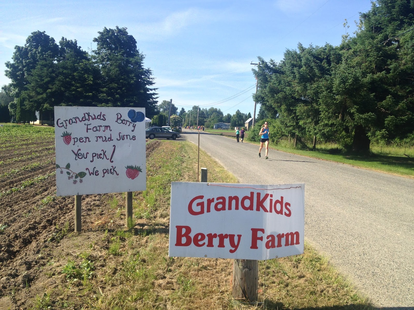 Before The Deluge Berry Dairy Days Half Marathon