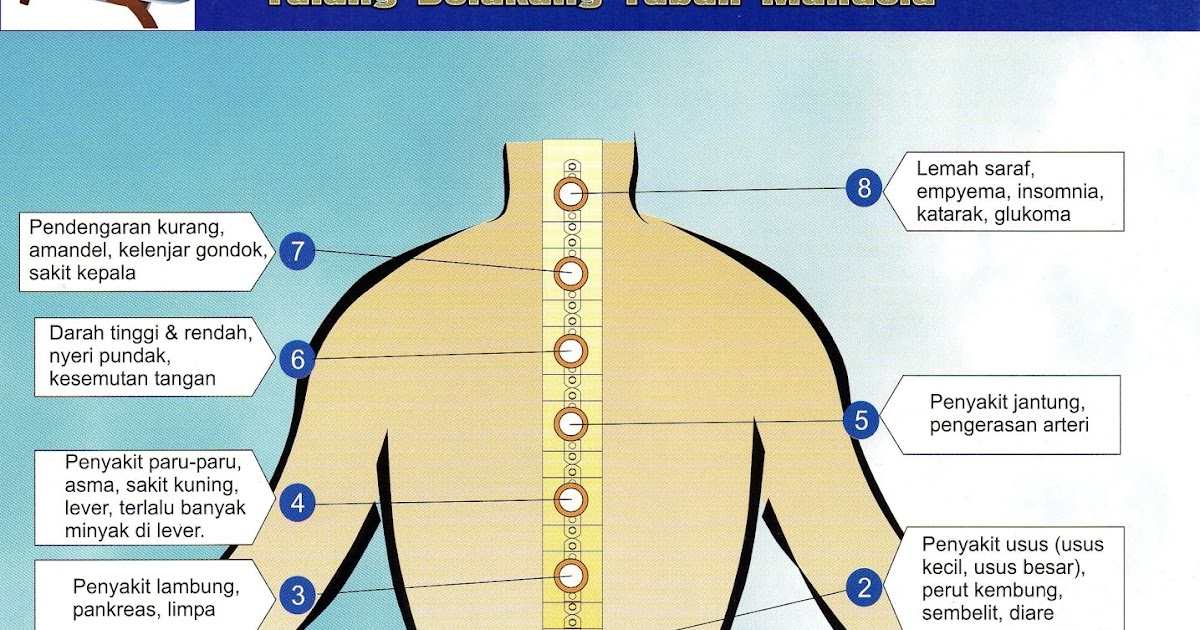 NUGA BEST Nm5000 Manfaat Alat terapi Nuga best nm5000