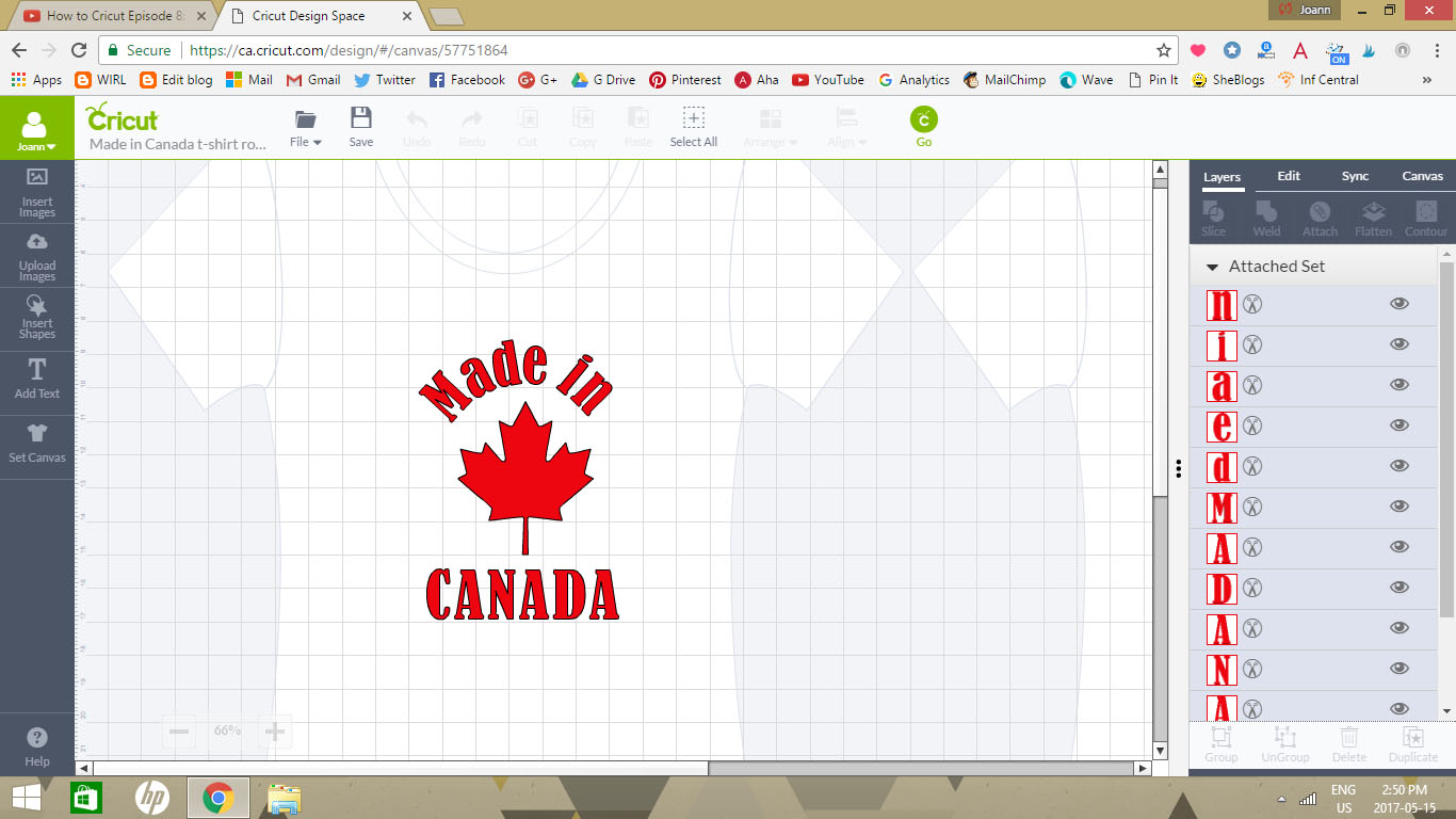 Woman in Real Life What materials can I cut with the Cricut? & A