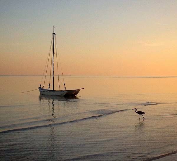 Viaje al Centro del Universo. Danza del Sol. Diario de un Observador Una garza pasea por la orilla del mar junto a un pequeño bote de vela y comprendo que mis ojos contemplan un paisaje amenazado de extinción. Además de quedarse sin hogar cientos de familias, las tortugas, las garzas, las cigueñas, los cocodrilos, los caimanes y los flamencos, todos amenazados de extinción, podrían perder su último refugio natural.
