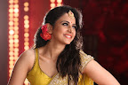 Rakul Preet Winner Stills-thumbnail-cover