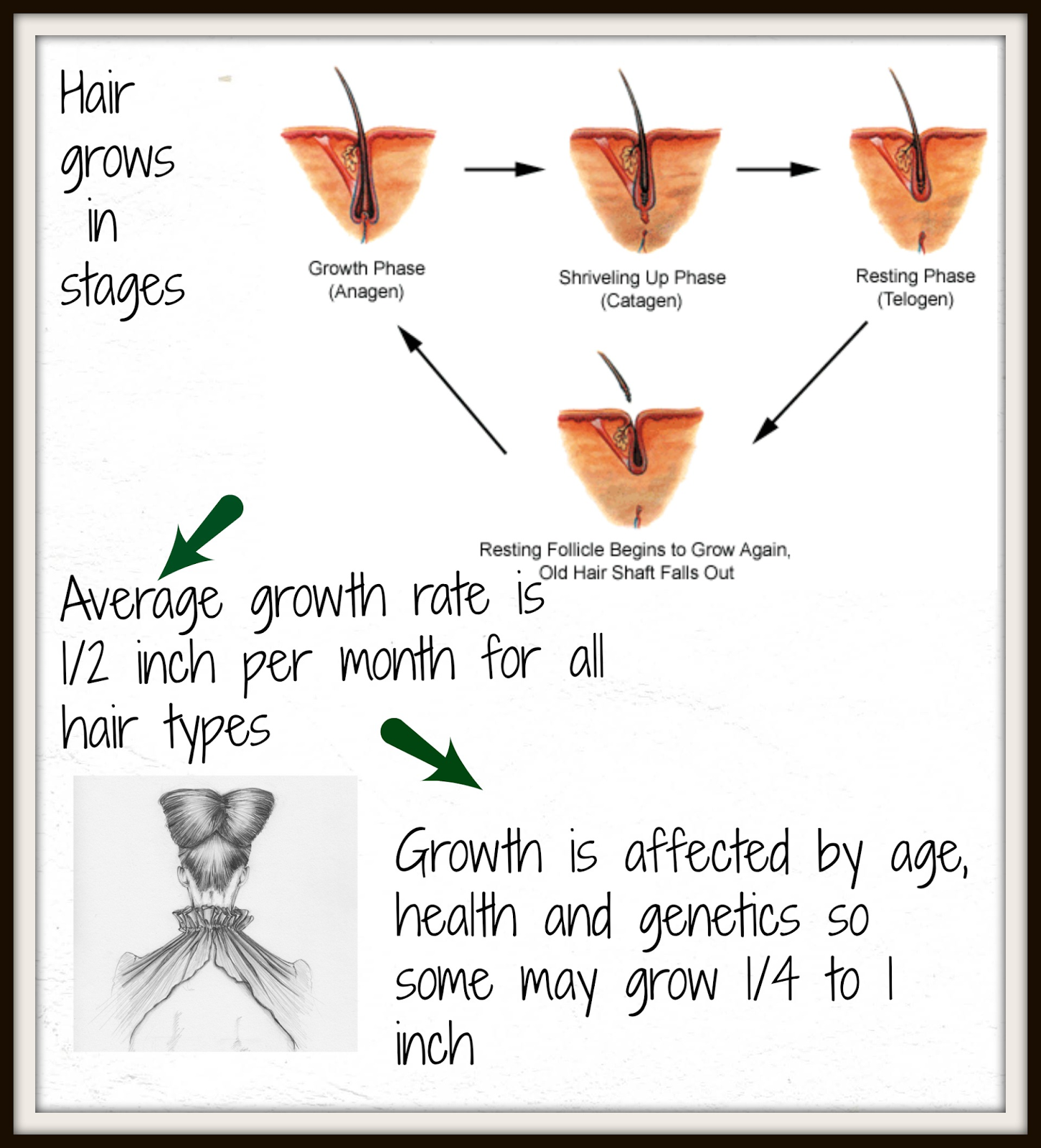 How Fast Does Hair Grow When Pregnant 118