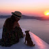 5 Amazing Adventure Stories With A Dog Based On True Events
