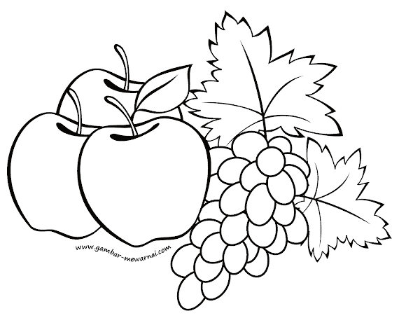 gambar mewarnai buah anggur merah