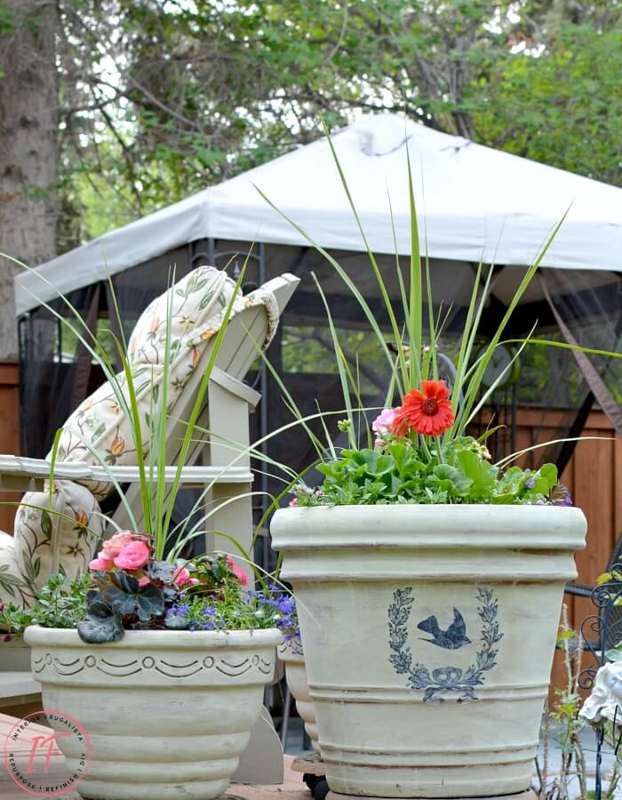 Terracotta French Country Pots With French Graphic
