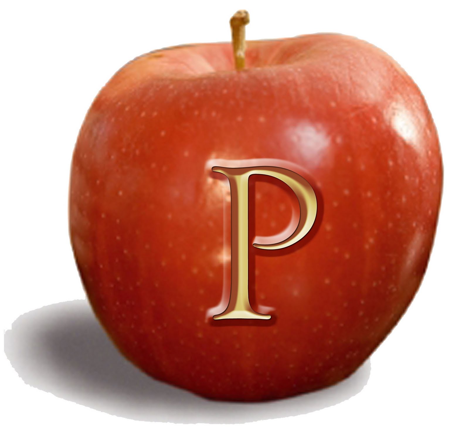 Paradis: El de la Dama del Paraguas en Zoo Barcelona