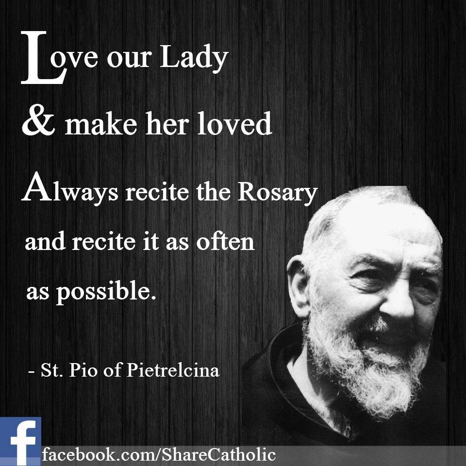 Little Plant of St. Francis: St. Padre Pio Quotes