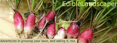 EdibleLandscaper